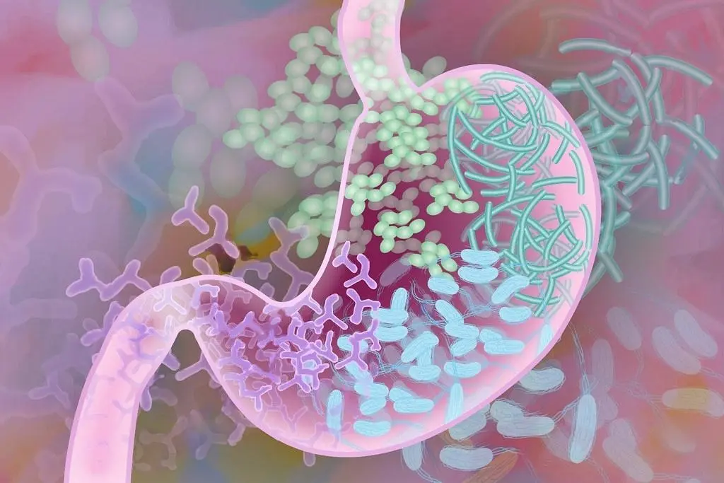 Microbioma Intestinal: El Órgano Invisible Que Controla Tu Salud